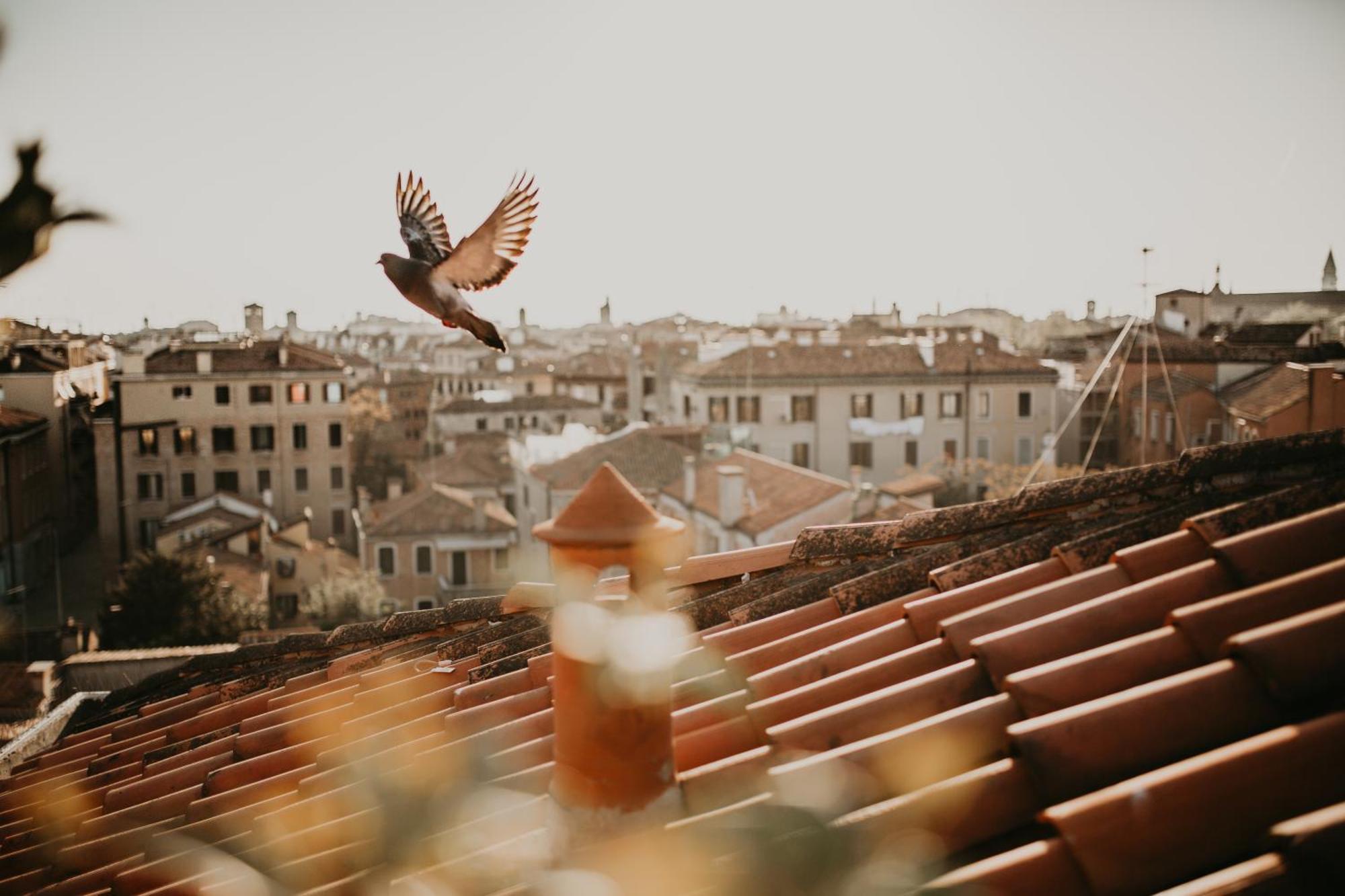 Papadopoli Hotel Venezia - Mgallery Collection Venedik Dış mekan fotoğraf